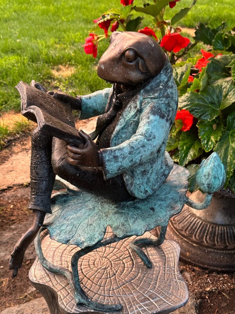 A custom bronze Mr. Toad sculpture reading a book on a lily pad next to bright red flowers at Wind in the Willows Oasis.